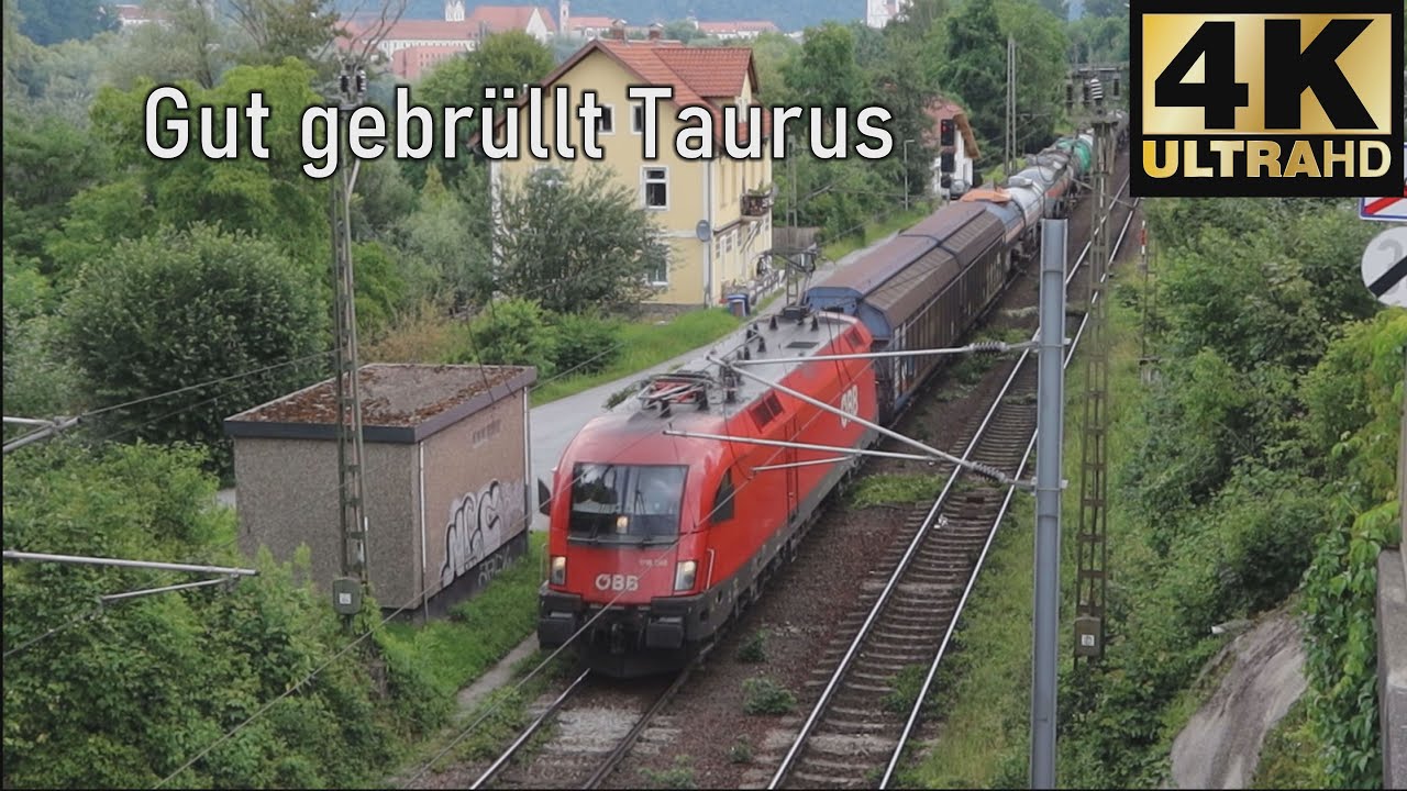 Trainspotting | Innstadt mit einem brüllenden Stier! | Juli 2021