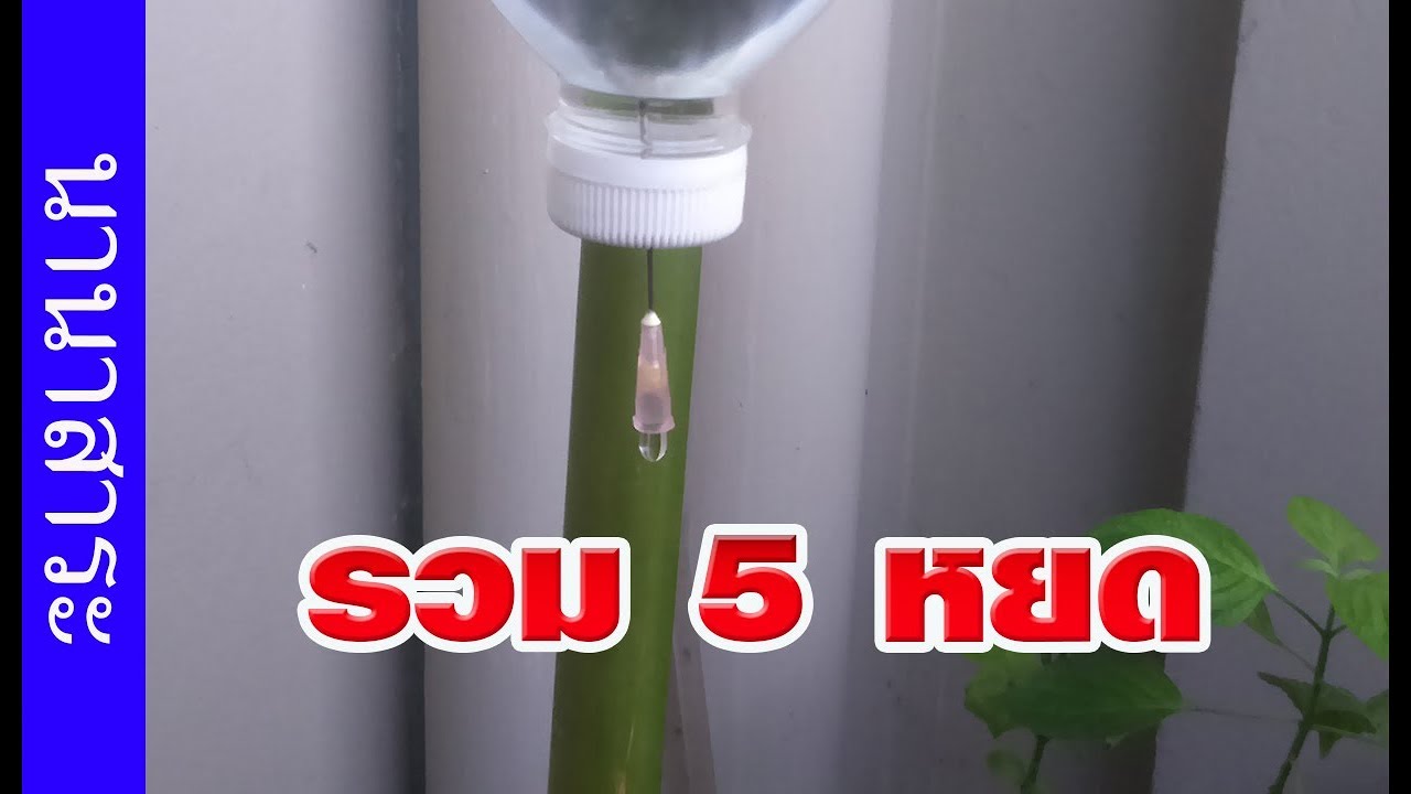 รวม 5 สุดยอด วิธีทำระบบน้ำหยด แบบต้นทุนต่ำ คุณภาพสูง | เกษตรกรชาวบ้าน