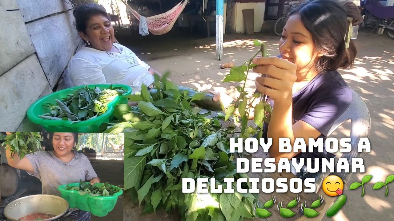Mi Mamá Se Fue A Su Huerta🥬🌱🌱Y Todo Esto Nos Bamos A Disfrutar D3liciosoY Saludable 