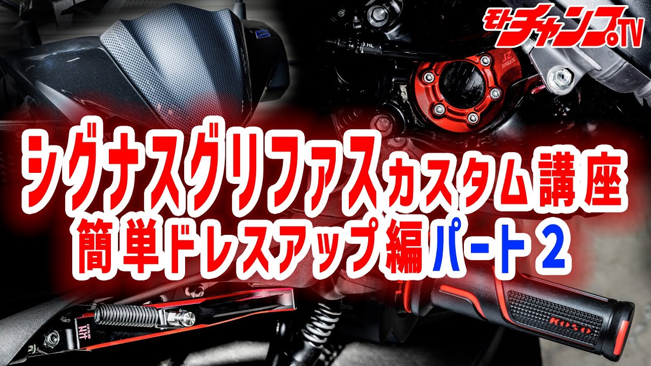シグナスグリファスの満足度をアップする細部のドレスアップ！パート２
