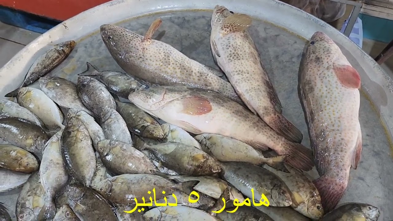 Central market,السوق المركزي.شراء كل ما يلزم