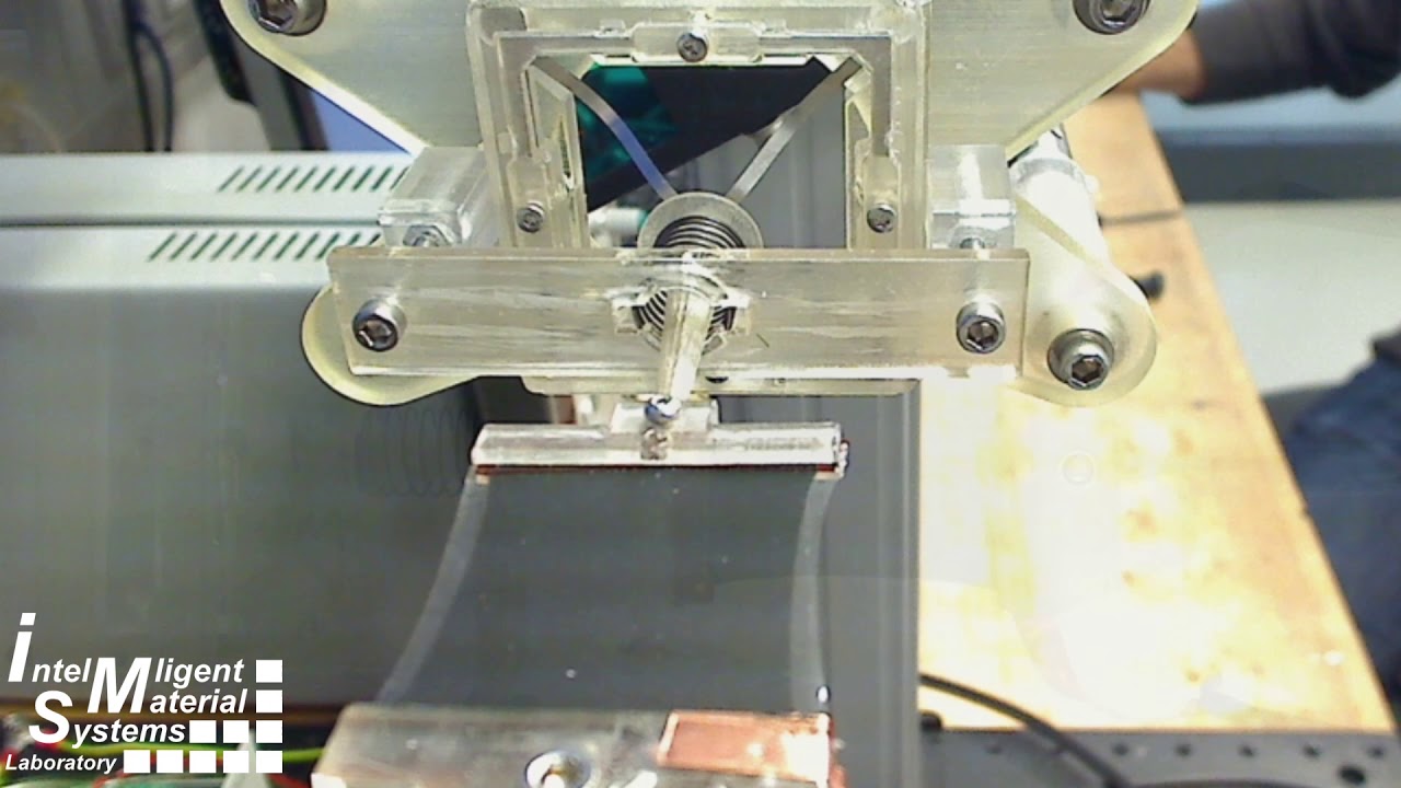 Strip in Plane Dielectric Elastomer Actuator