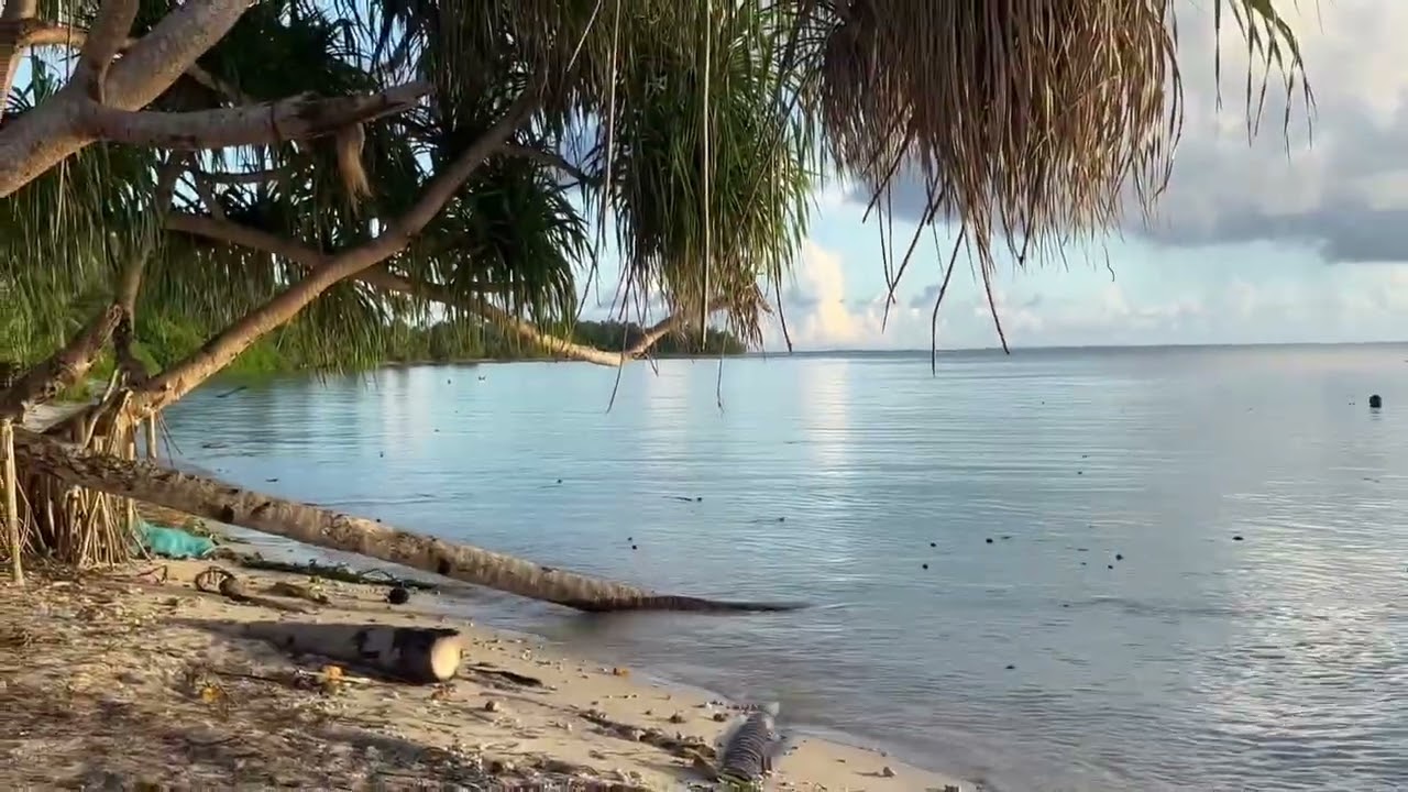 Marshall Islands 2025 ( tutu island