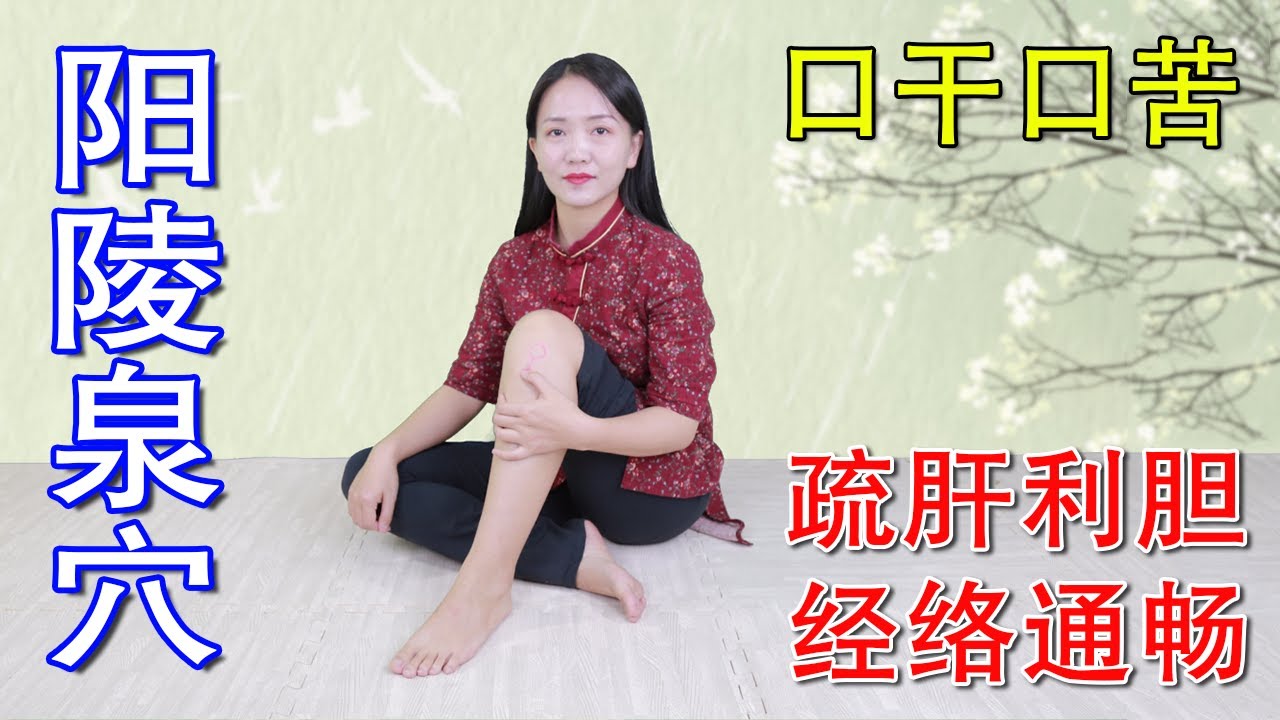 一穴通肝膽！口乾口苦腿抽筋，按陽陵泉3分鐘，疏肝利膽，經絡通【健康管理师李晓】