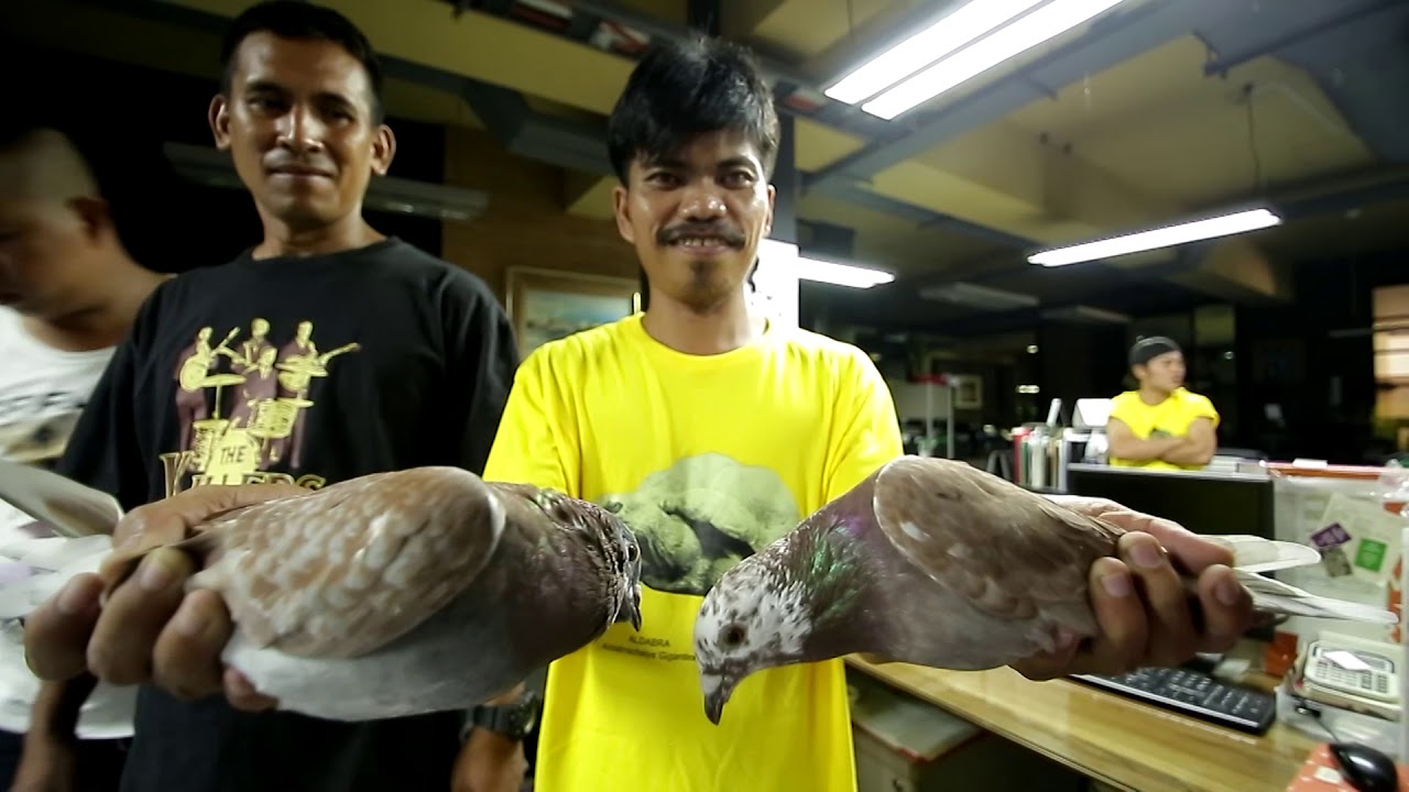 Alagang Magaling S7 EP13   JAIME LIM'S SEMINAR & LOFT VISIT