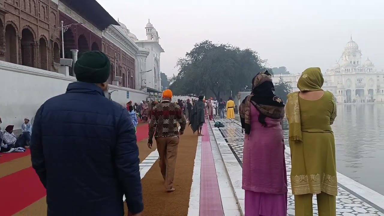 🙏🏻Darbar Sahib #goldentemple  #shukrana  #harimandarsahib 