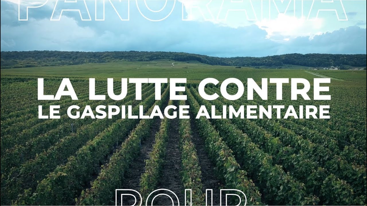 Panorama S02E04 : Lutter contre le gaspillage alimentaire en Île-de-France