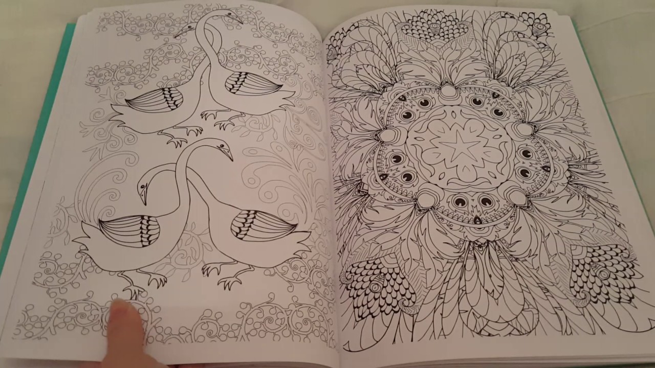 Art-Thérapie: Oiseaux de Paradis: 100 coloriages ANTI-STRESS