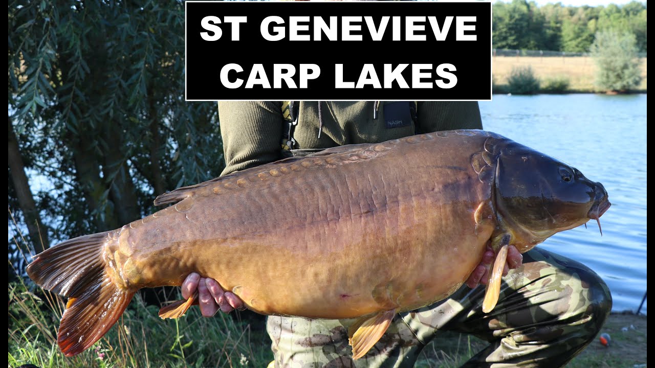 St Genevieve Carp Fishing - S1-V4  40 lb Mirror Carp!