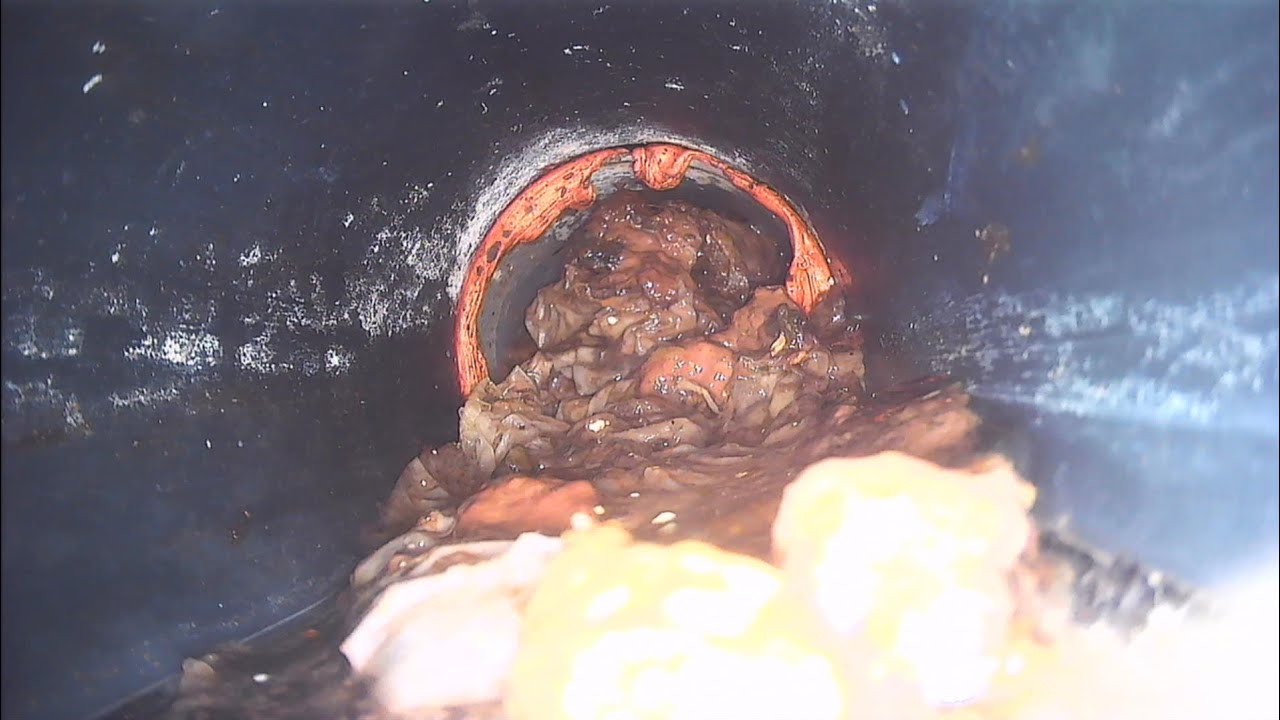 Udrażnianie Kanalizacji #drainunblocking #blockeddrains #draincleaning #uncut
