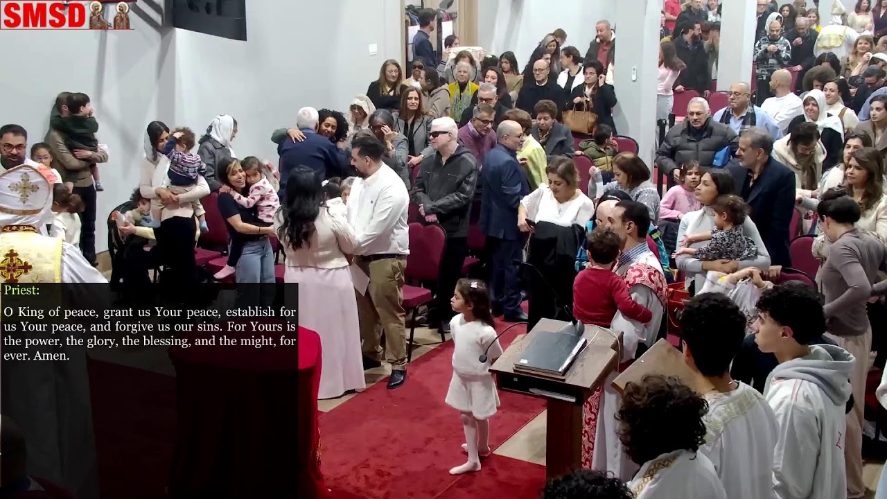 SMSD Sunday Liturgy - February 15, 2026