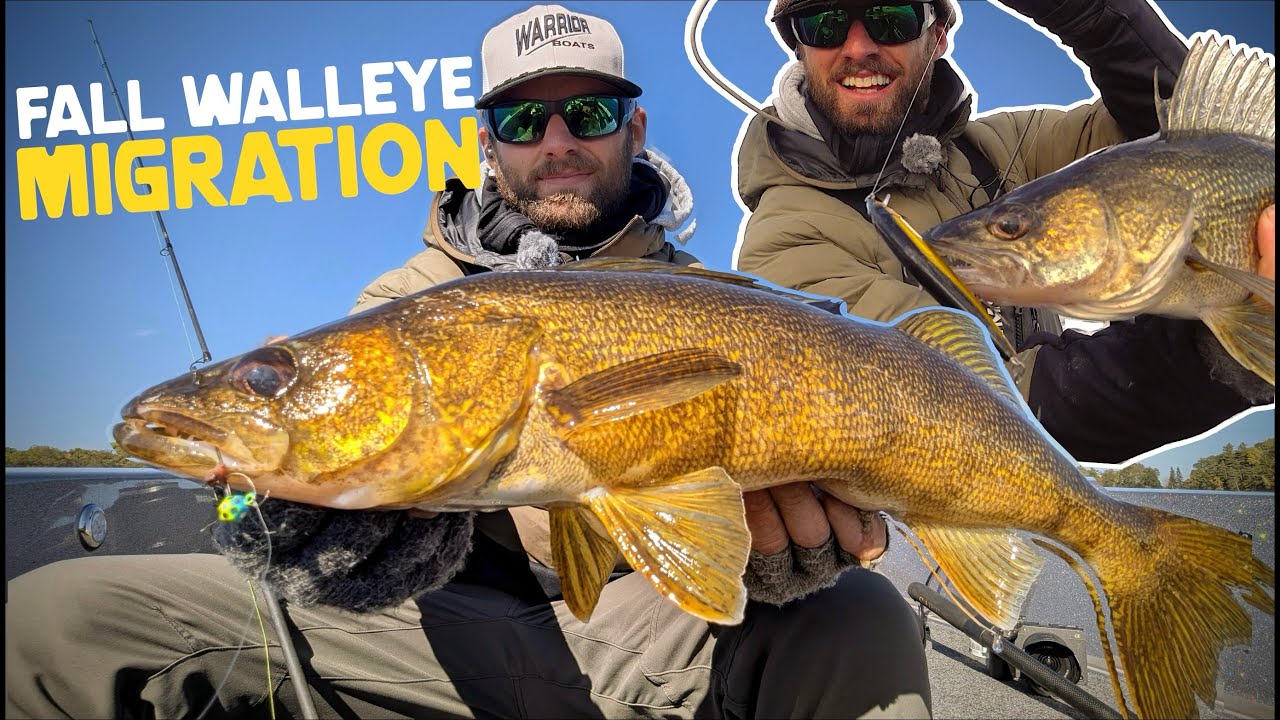 Unlock the SECRET to the BEST Fall Walleye Fishing!