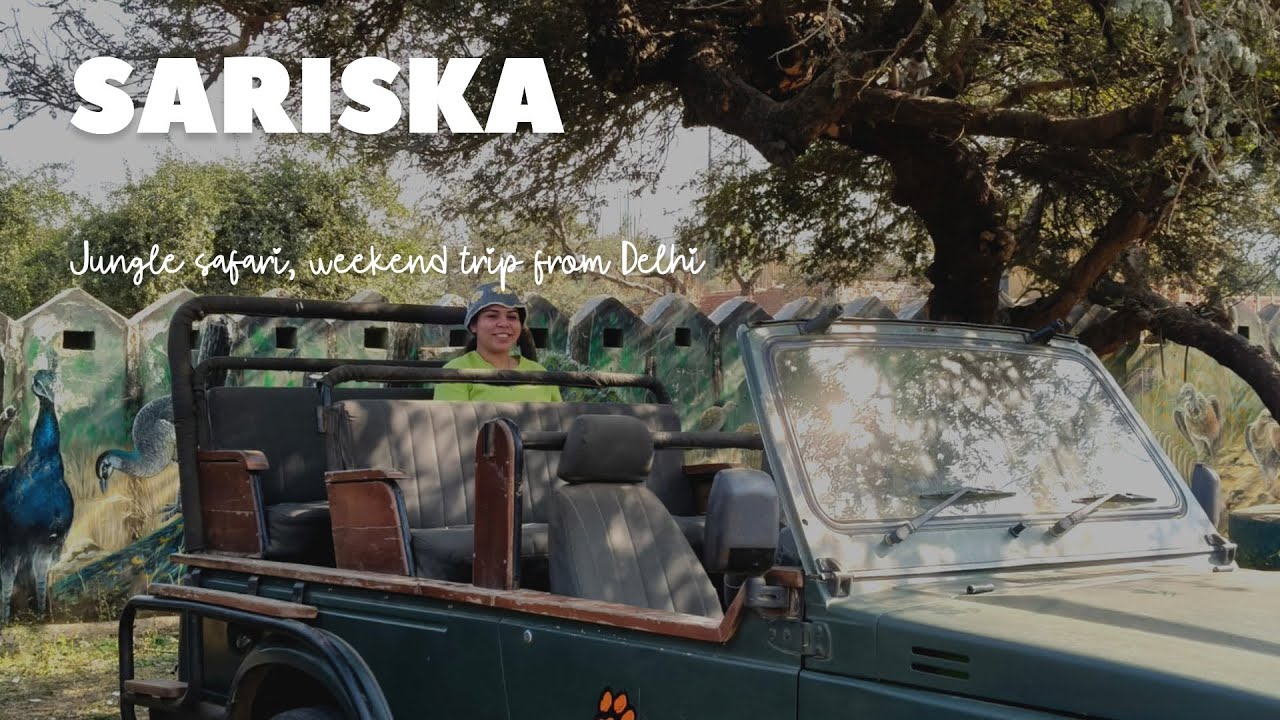 Sariska tiger reserves | Sariska jungle safari complete guide | Weekend trip from Delhi 