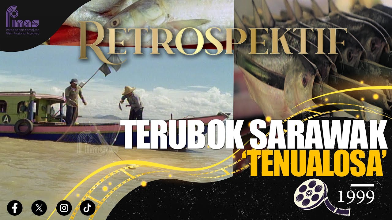 RETROSPEKTIF : TERUBOK SARAWAK 'TENUALOSA' (1999)
