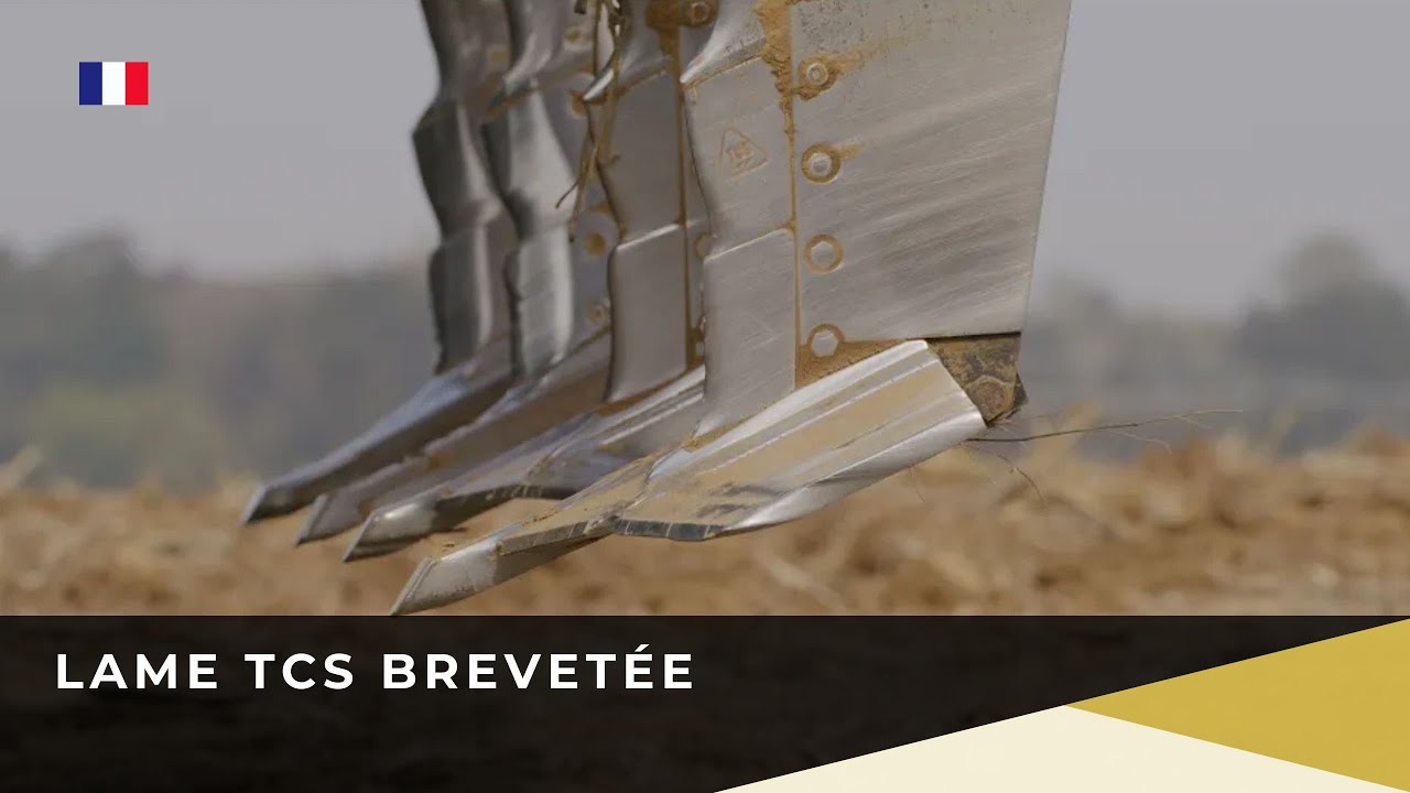 LAME TCS BREVETÉE (FR) - AGRISEM INTERNATIONAL