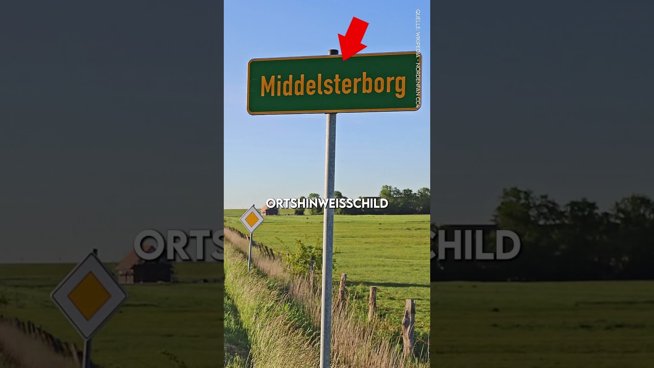 Crazy Schilder