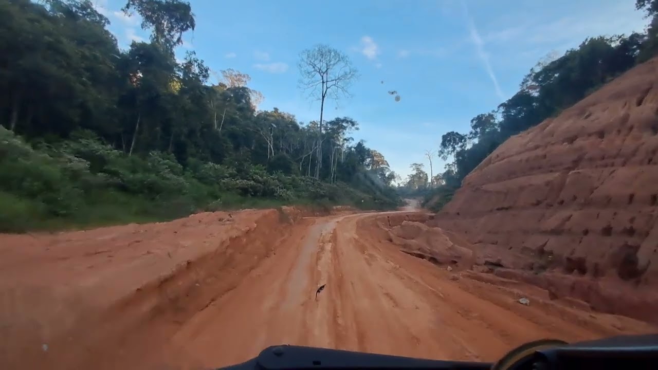 parte 11 = TRANS URUARÁ PA 370