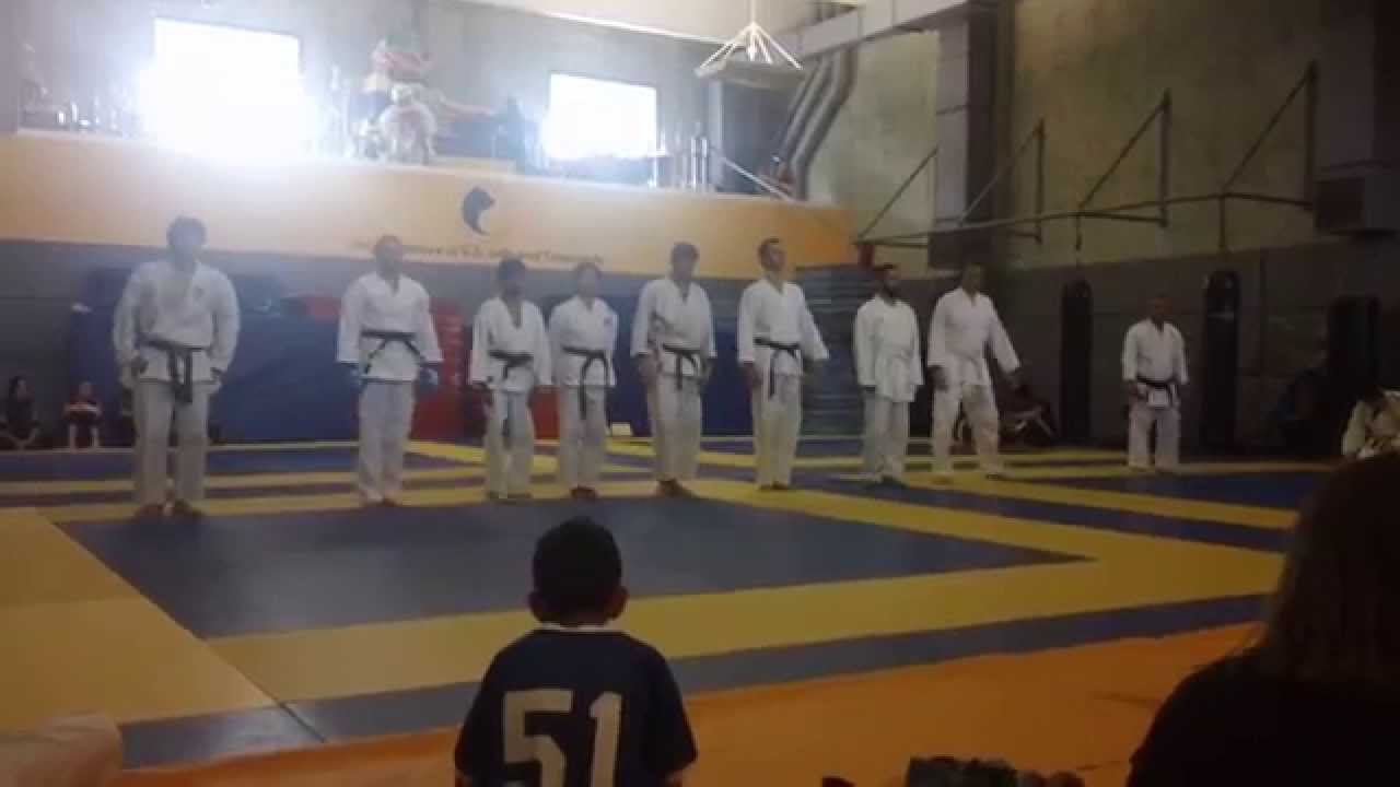 Karate Club Demonstration - 2015 UCMAP Expo