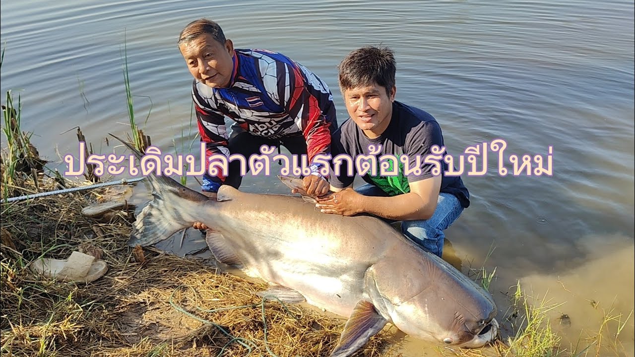 เทคนิคการเคล้ารำ #รำบ่มปลาเคลิ้ม ตกปลาใหญ่น้ำลึก 
