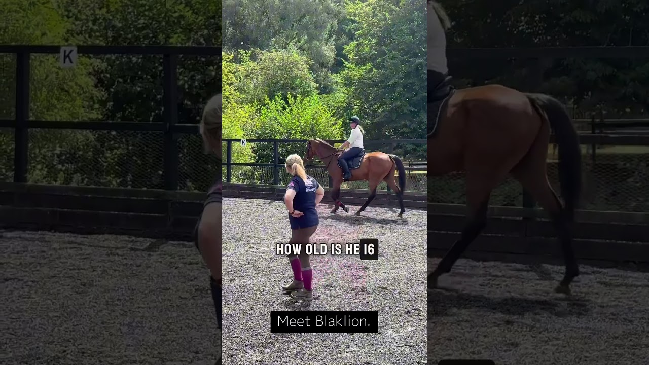 Here&rsquo;s some of the work I do 🦄#confidence #equestriancoach #equestrianjourney