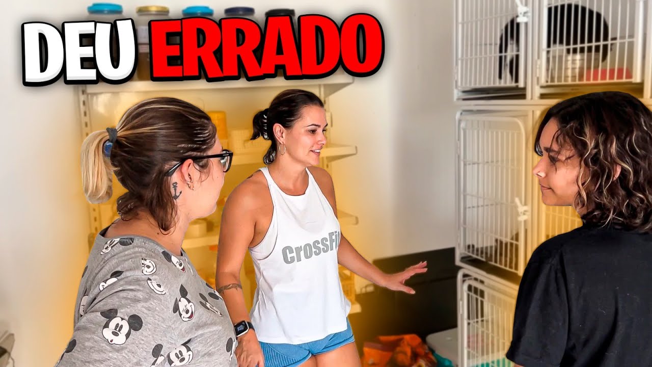 Fomos numa ong adotar um gato para Carol e não tivemos sorte