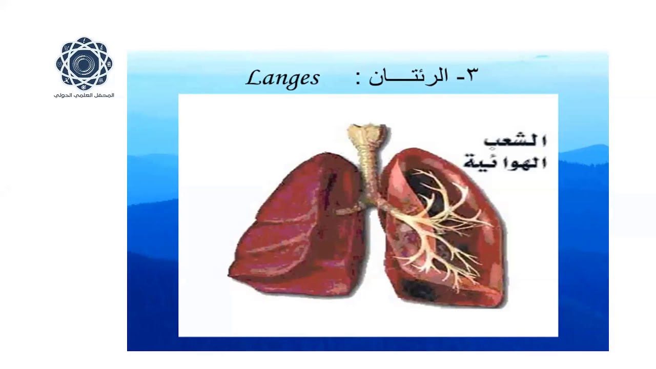 اضاءات في علم الأصوات | أعضاء النطق