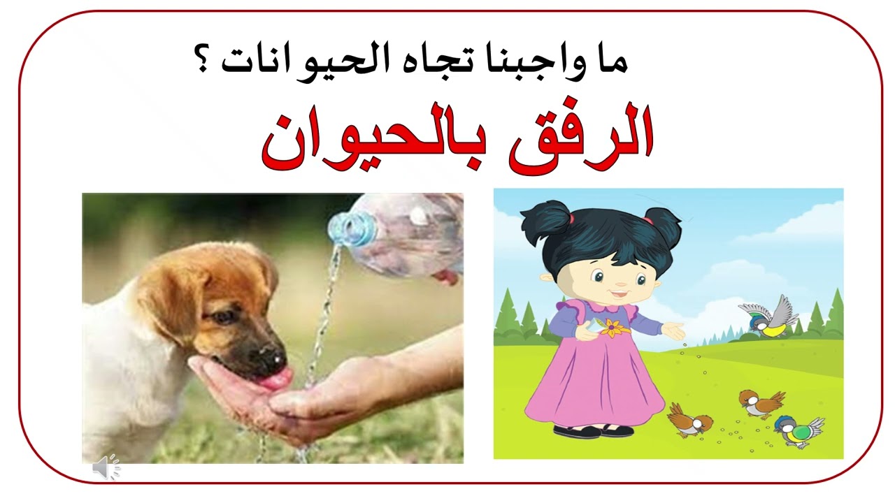 الأحد 1 3 2026 الحيوان الأسبوع الاول
