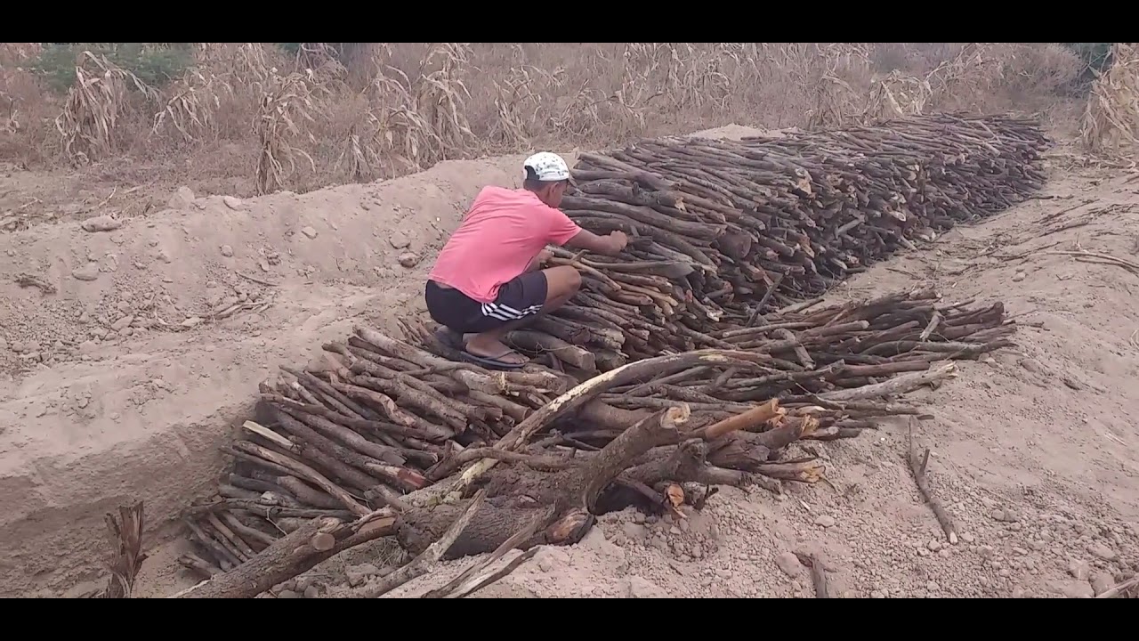 Mostrando mais uma caeira de Carv&atilde;o: