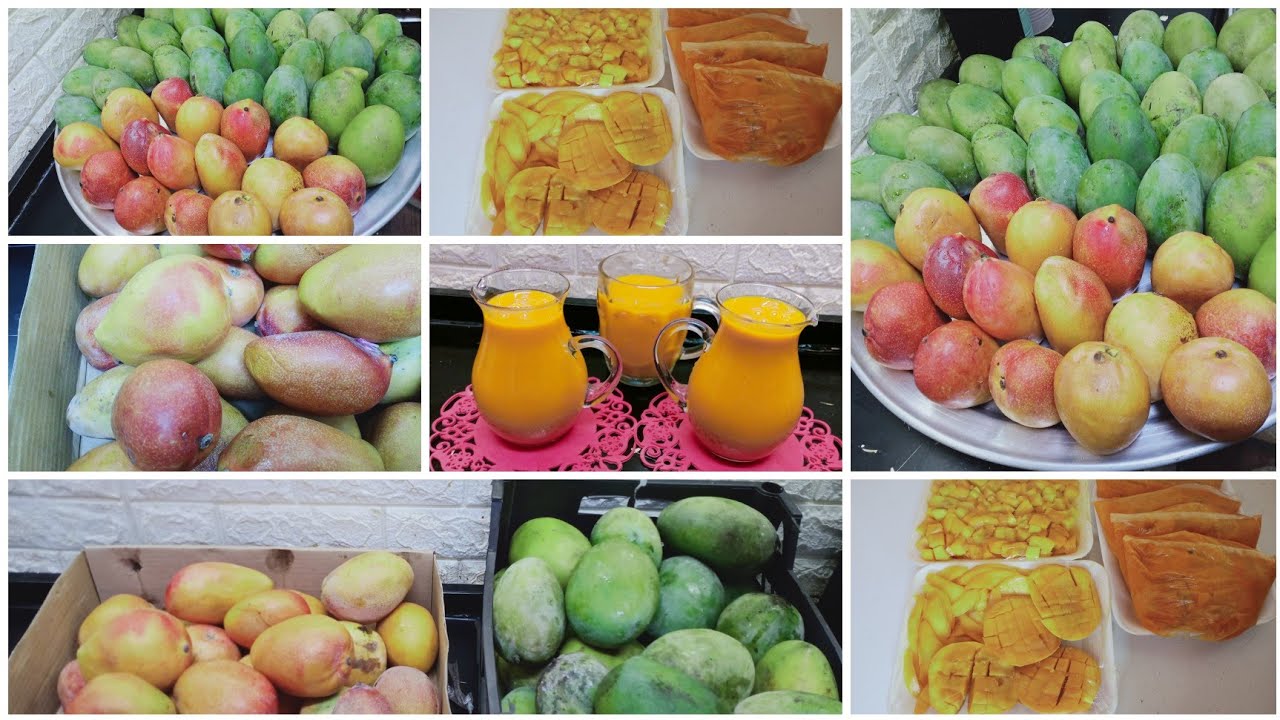 تخزين انواع المانجو 4 طرق الست الشطره تعمل كدا👌🥭🥭🥭
