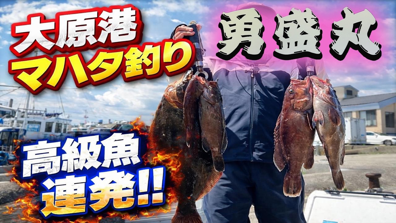 【大当たり】【勇盛丸】奇跡の釣果！大原港 マハタ釣りで高級魚連発！