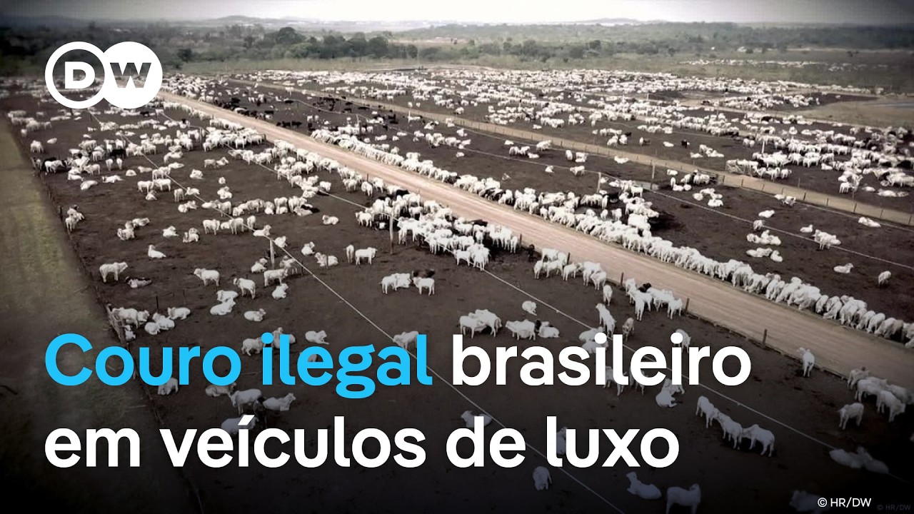 O que carros alemães têm a ver com o desmatamento na Amazônia? | Documentário