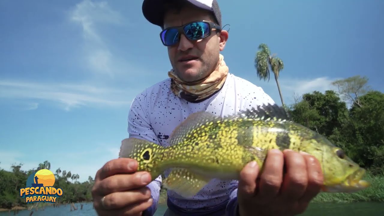 Tucunare en el Lago Itaipu