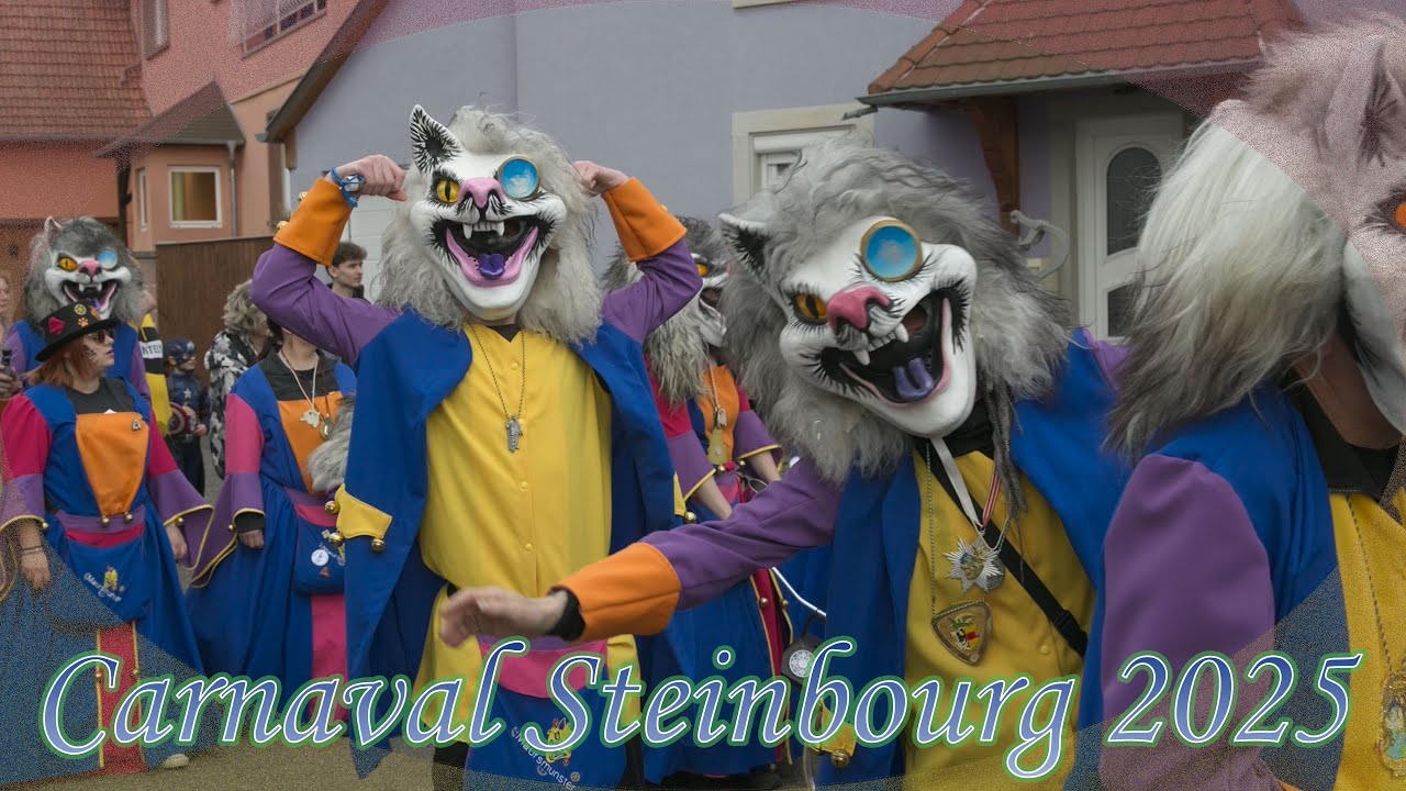 Carnaval de Steinbourg #carnaval2025 #steinbourg #carnaval #alsace #saverne #marmoutier