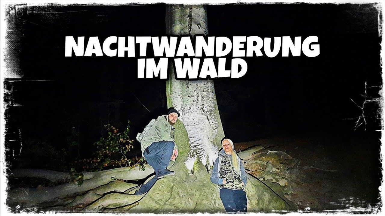 Nachtwanderung im Wald
