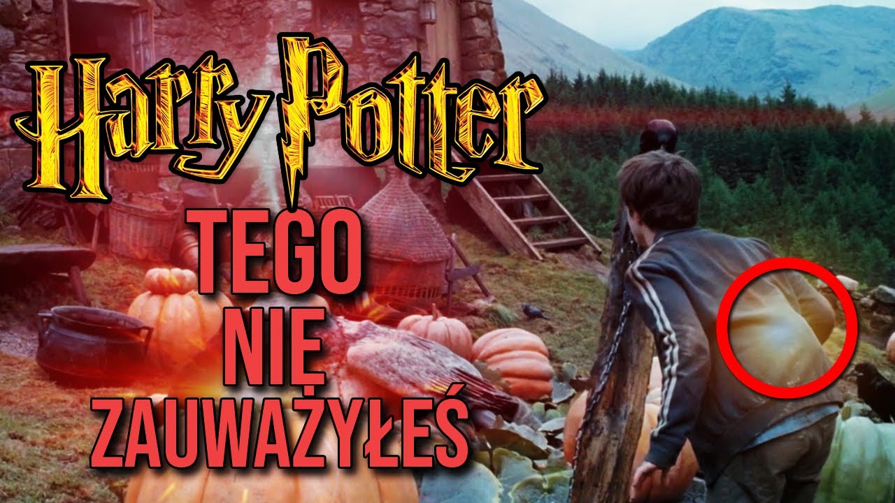 Harry Potter: 10 Rzeczy, Których Nie Zauważyłeś #2