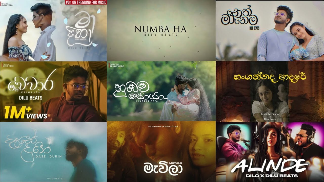Dilu beats best song collection | Dilu Beats | තනියම ඉද්දි අහන්න #manoparakata #song #dilubeats