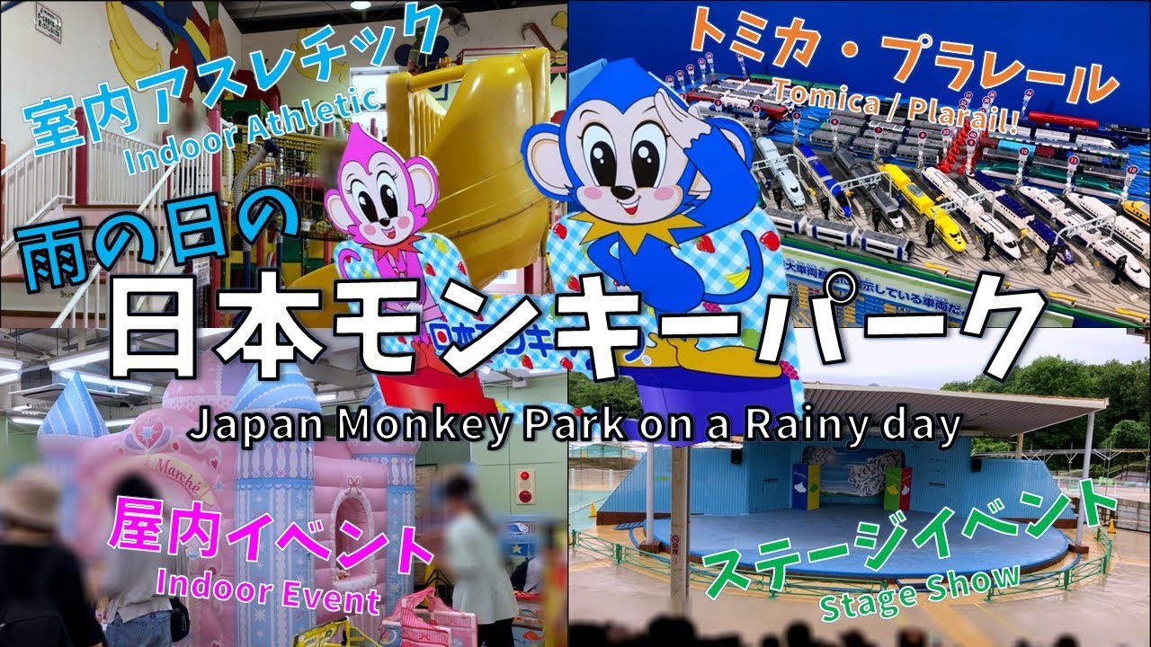 雨の日の日本モンキーパーク　天気が悪くてもイベントや屋内遊具で楽しめる！
