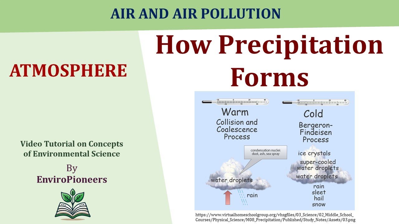 How Precipitation Forms | Bergeron and Collision–Coalescence Processes Explained
