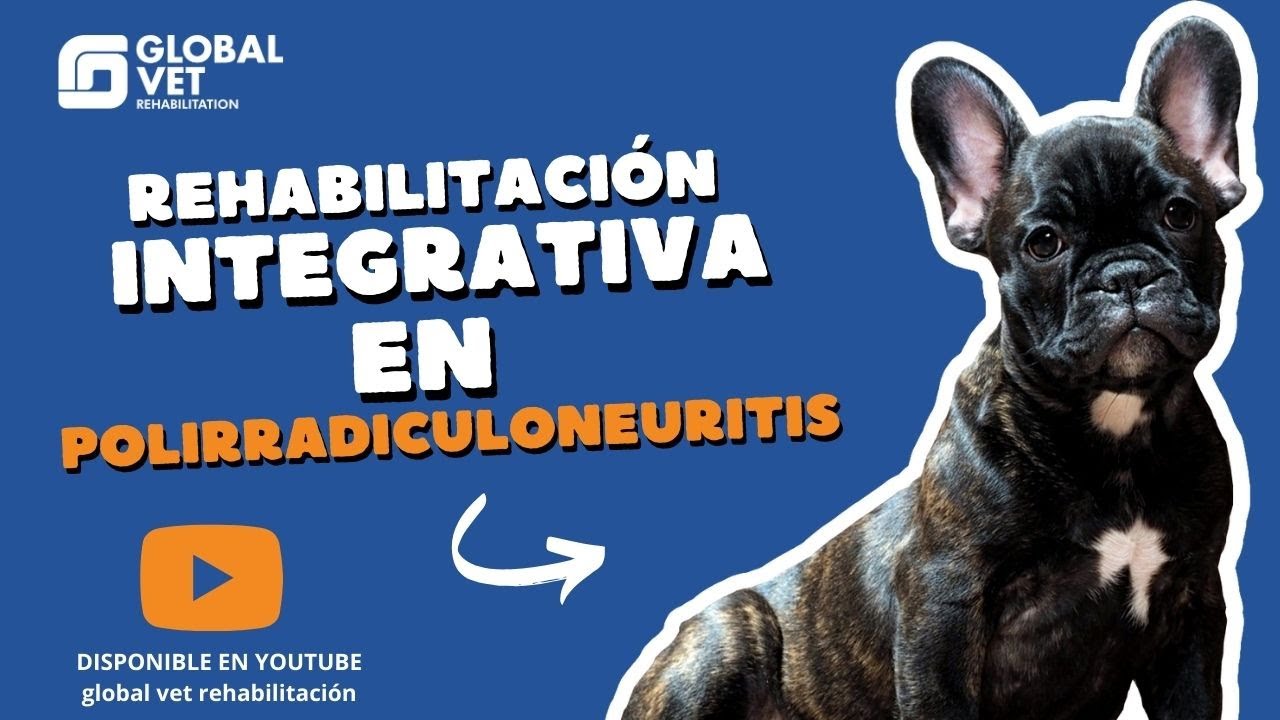 REHABILITACIÓN INTEGRATIVA EN POLIRRADICULONEURITIS 🐶