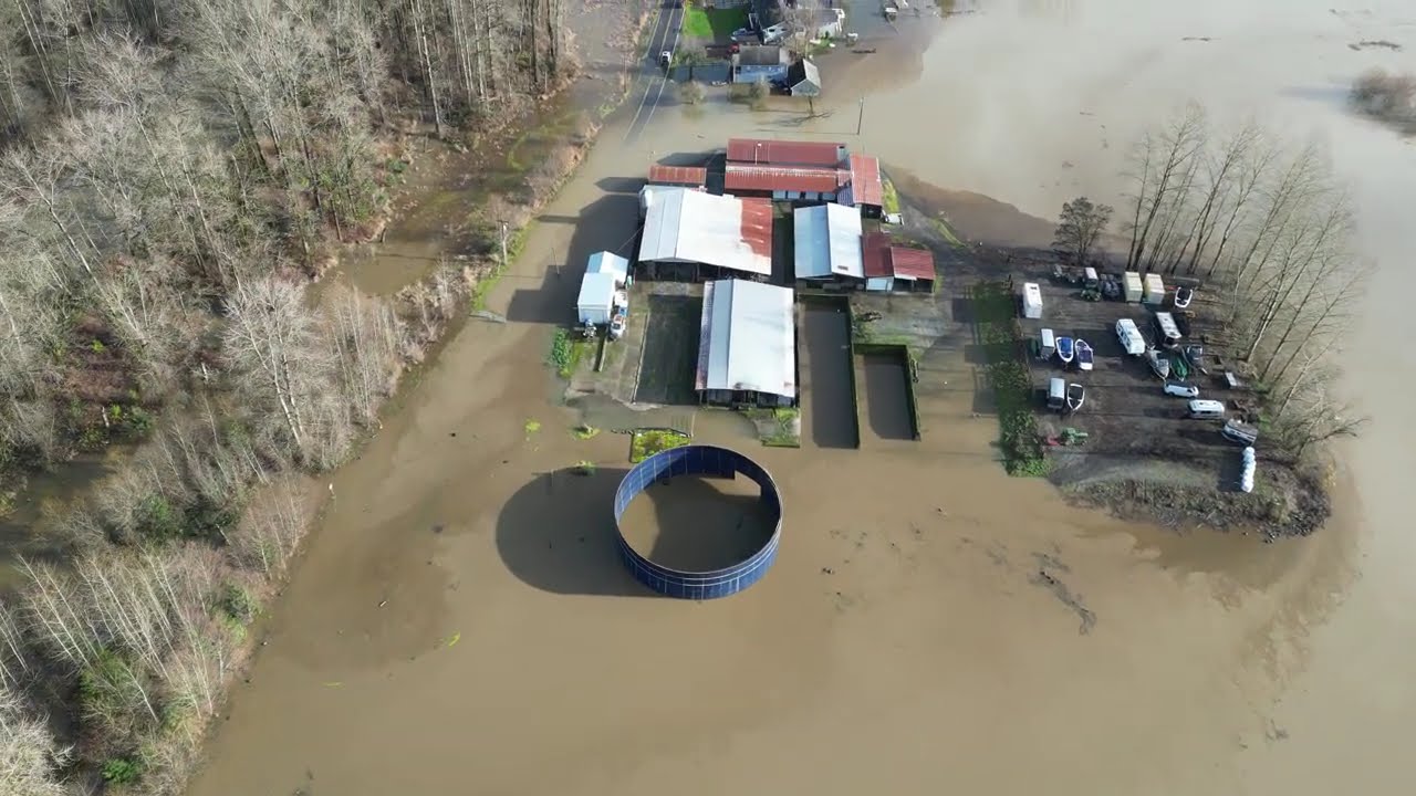 Carnation WA flooding 12/9/2025