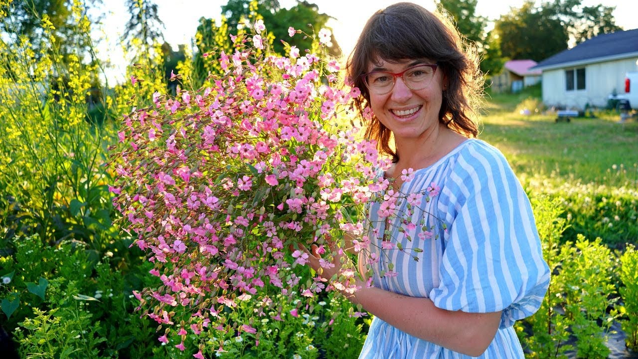 June Farm Tour | Where Is My Summer Weather?