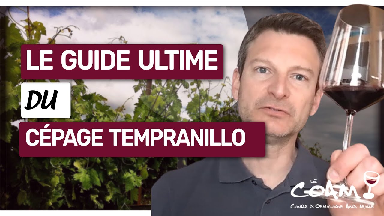 Tempranillo : Comment reconnaitre les 3 styles de ce cépage star ?