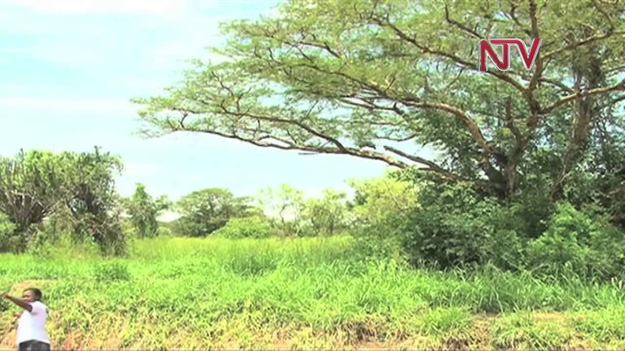 Settlers in oil-rich Hoima areas ordered to vacate land