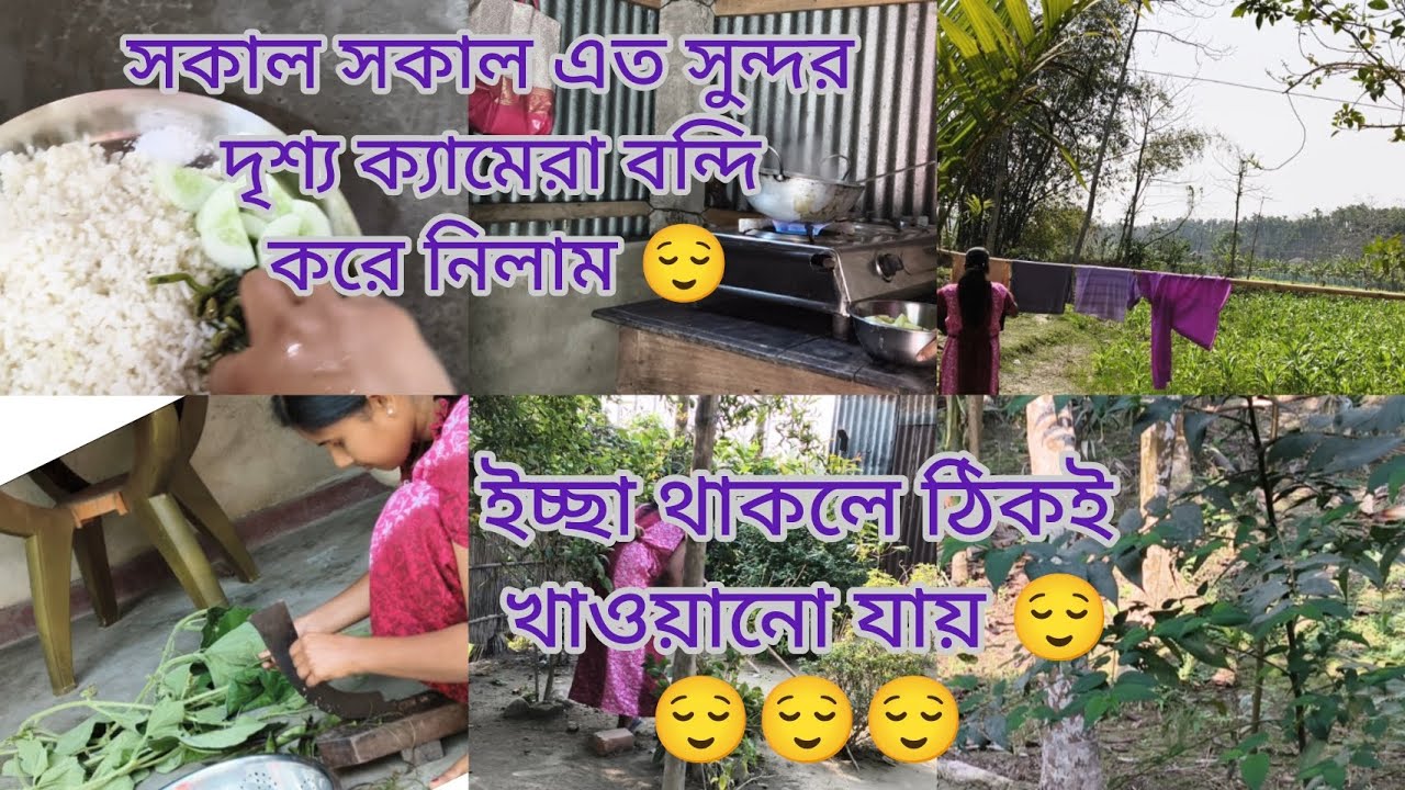 ইচ্ছা থাকলে ঠিকই খাওয়ানো যায়। 😌এত সুন্দর দৃশ্য ক্যামেরা বন্দি করে নিলাম। 😌#mousumilifestyle 