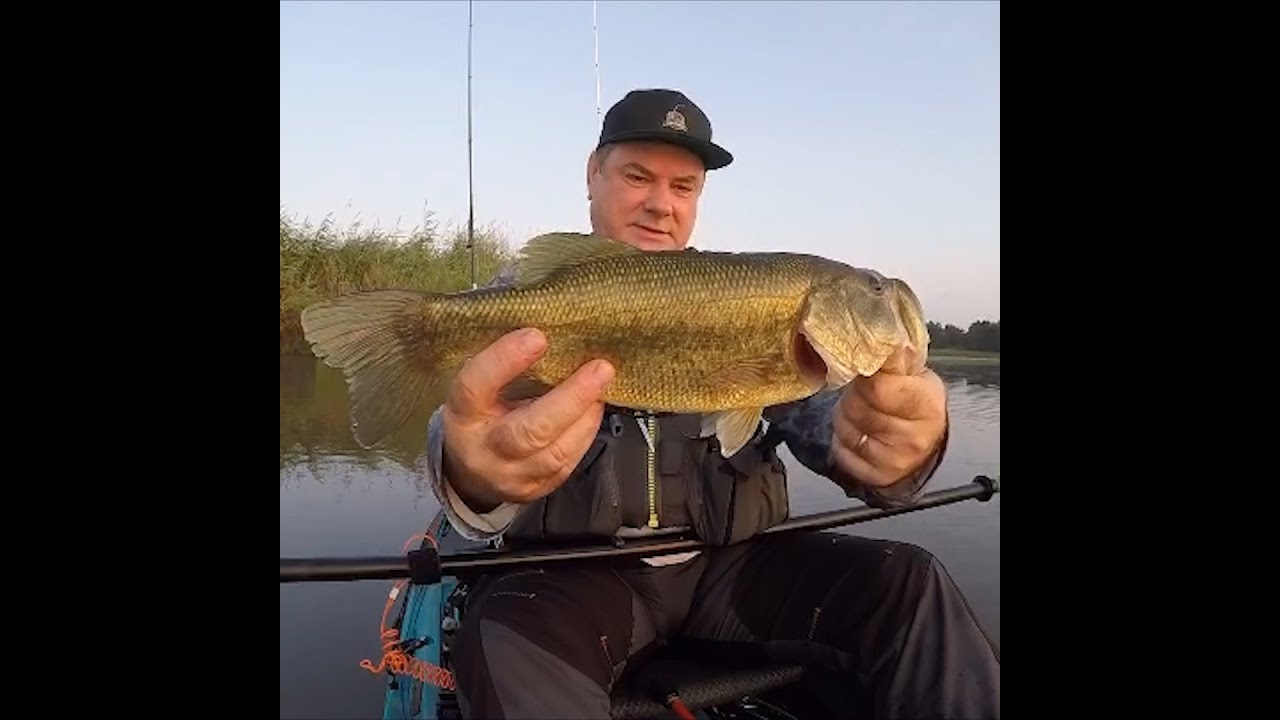 Bass spawn is near in North East... 