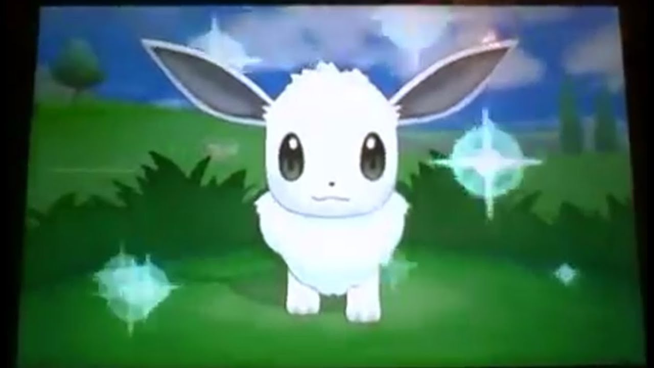 [Live Réaction] Evoli Shiny en environ 160 Rencontres dans le Parc Safari