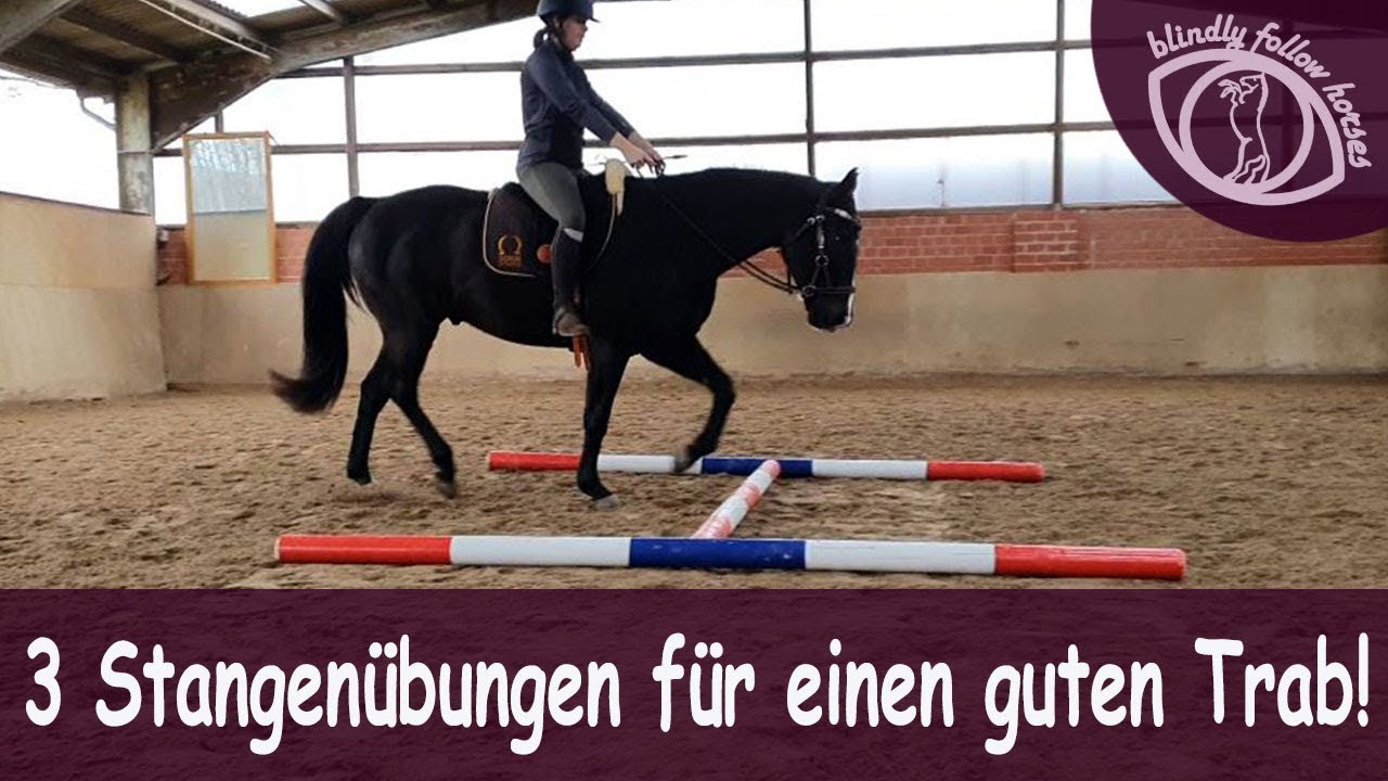 3 Übungen mit Stangen. Damit bekommt auch DEIN Pferd mehr Balance im Trab!