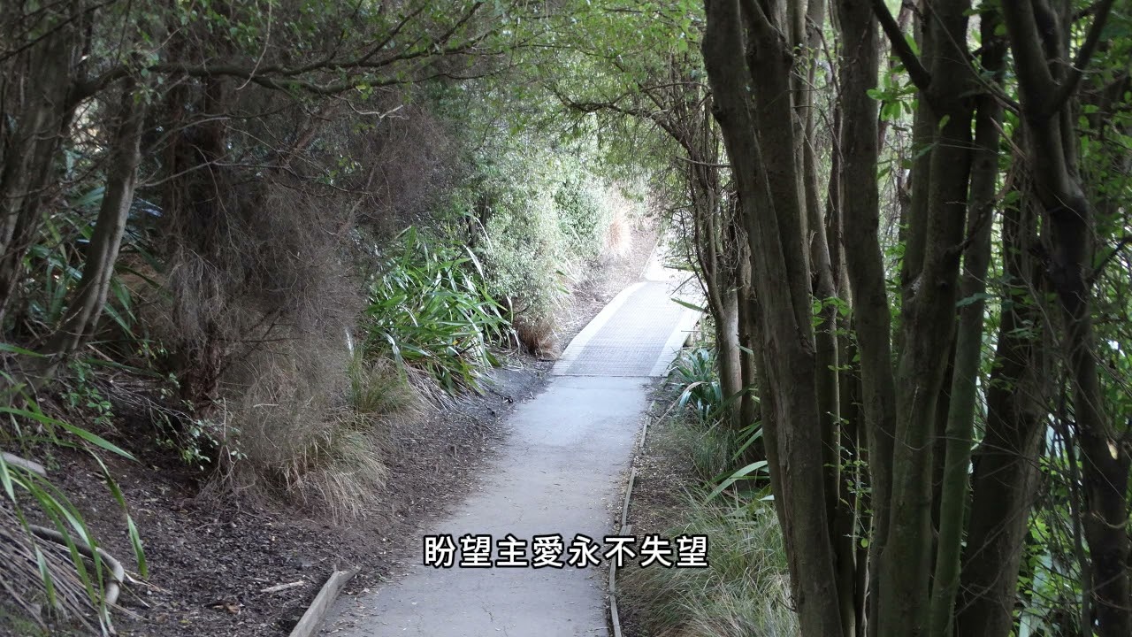 靠主得力 天天跟隨