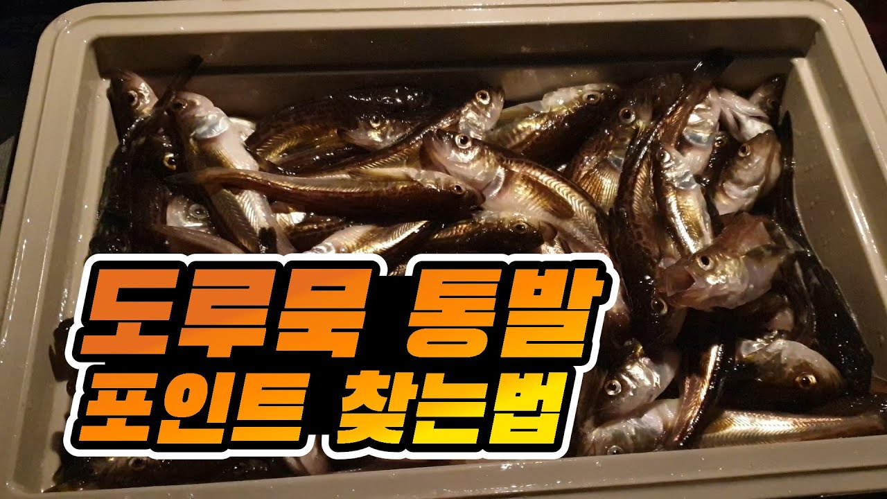 도루묵통발낚시 - 통발 포인트 찾는 요령