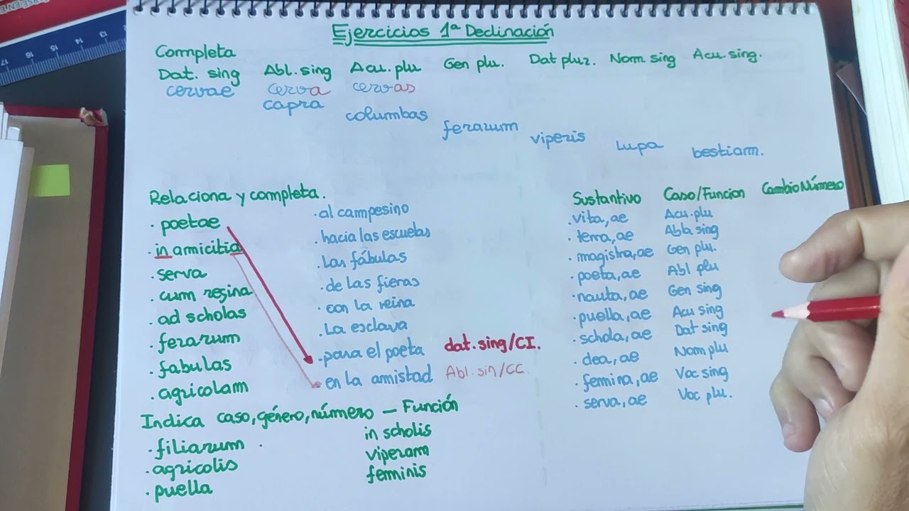 Ejercicios 1ª declinación2